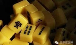 麻将配料爆料方法图解视频,图解视频深度解析